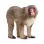 Figura Schleich WILD LIFE Macaco japonés Beige Marrón Rosa 14871