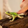 schleich WILD LIFE rana verde europea, 3 año(s), bosque, animales salvajes/juguete de aventuras, multicolor