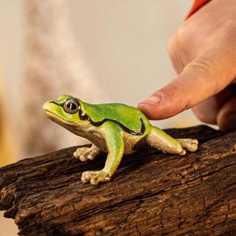 schleich WILD LIFE rana verde europea, 3 año(s), bosque, animales salvajes/juguete de aventuras, multicolor