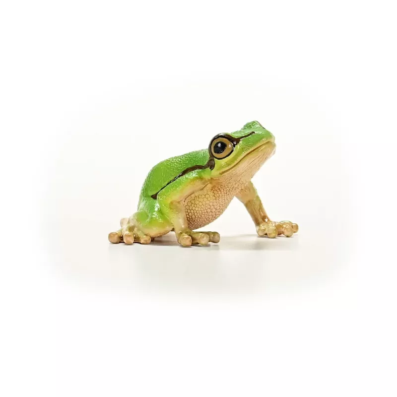 schleich WILD LIFE rana verde europea, 3 año(s), bosque, animales salvajes/juguete de aventuras, multicolor