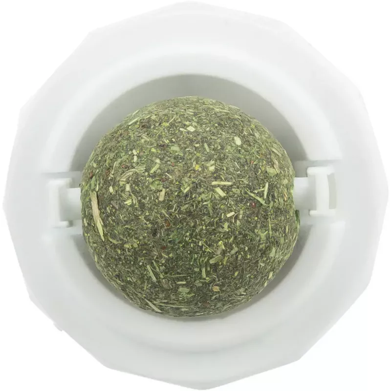 Juguete para gatos Trixie TRIXIE 42242 hierba gatera verde blanco 5 cm, tecnopolímero, reverso autoadhesivo