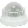 Juguete para gatos Trixie TRIXIE 42242 hierba gatera verde blanco 5 cm, tecnopolímero, reverso autoadhesivo