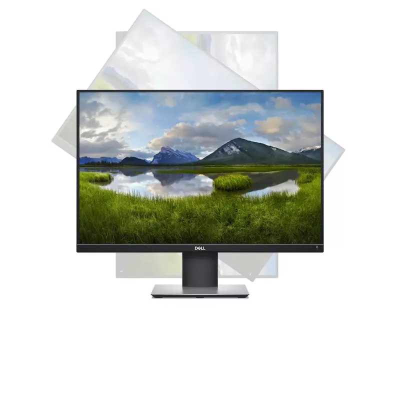 Monitor DELL P Series P2421 61,2 cm (24,1