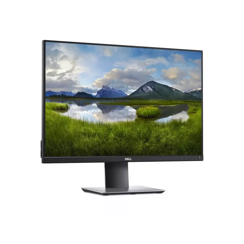Monitor DELL P Series P2421 61,2 cm (24,1