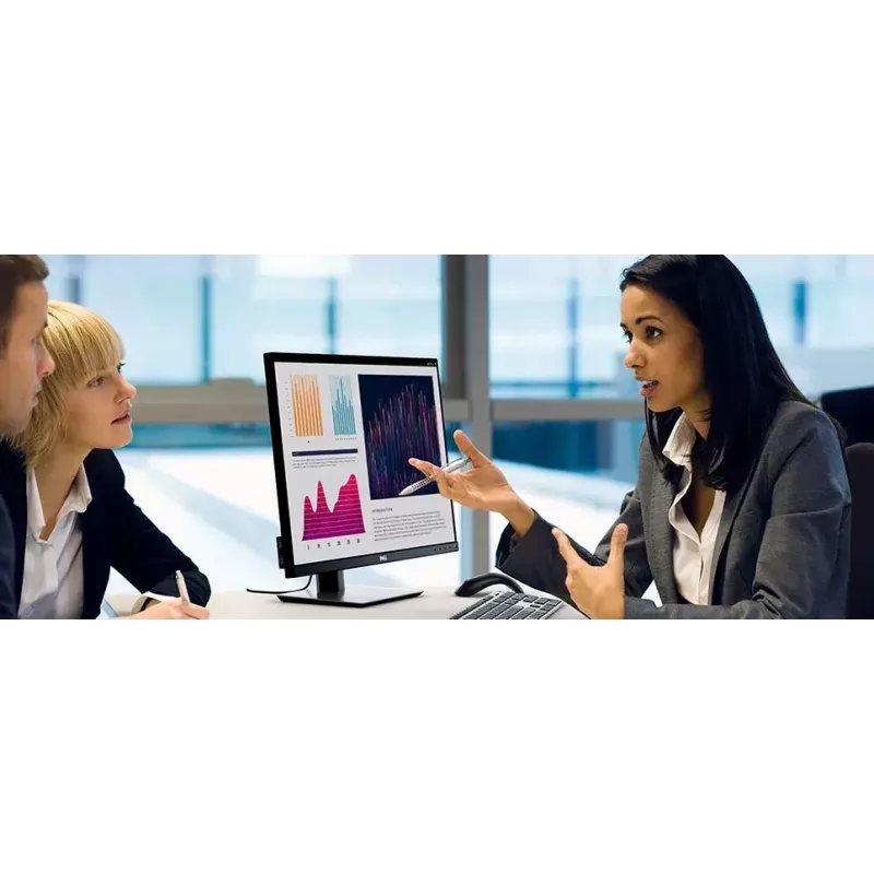 Monitor DELL P Series P2421 61,2 cm (24,1