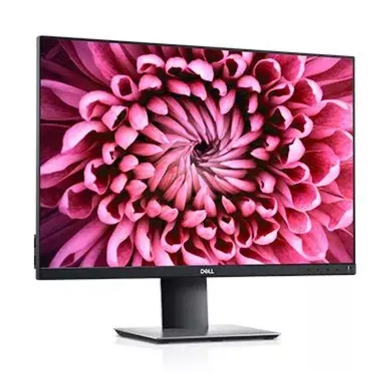 Monitor DELL P Series P2421 61,2 cm (24,1