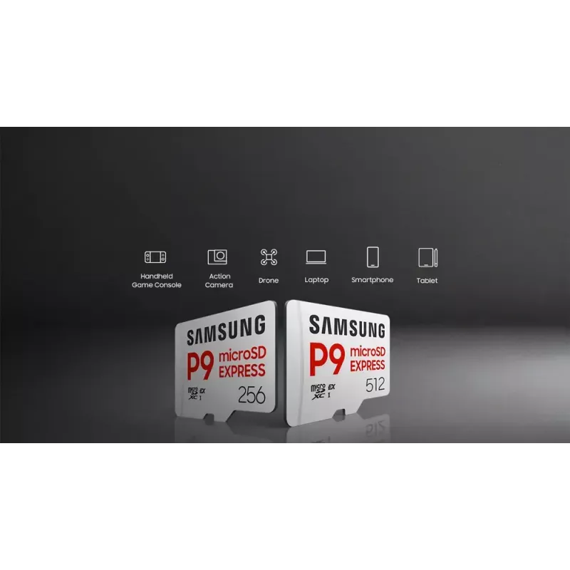 Tarjeta microSDXC Samsung P9 Express 256 GB — UHS-I, velocidad de lectura 800 MB/s, V30, U1, duradera