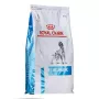 Comida seca para perros Royal Canin Anallergenic 8 kg — fórmula hipoalergénica de ave para adultos, sin gluten, sin lactosa