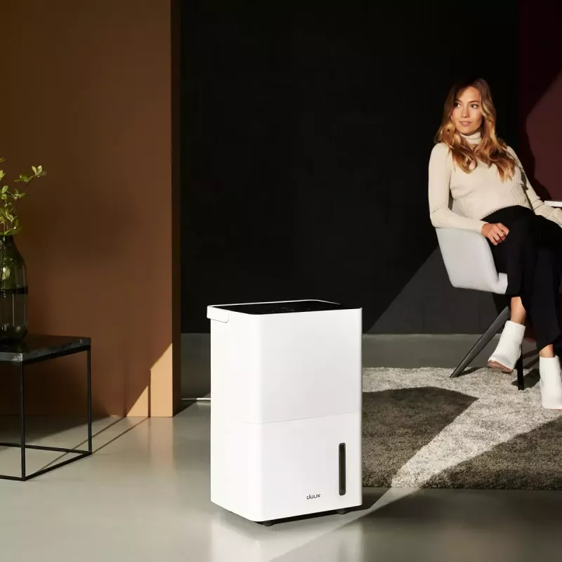 Deshumidificador Duux Bora DXDH30 – para habitaciones de hasta 50 m², depósito de agua de 4 L, blanco