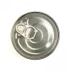 3COTY comida húmeda para gatos adultos con pavo y ganso, 80 g