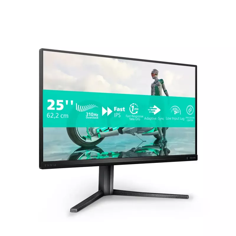 Philips Evnia 3000 25M2N3200U/00 Monitor de ordenador 62,2 cm (24,5 inch) 1920 x 1080 píxeles Full HD LCD gris