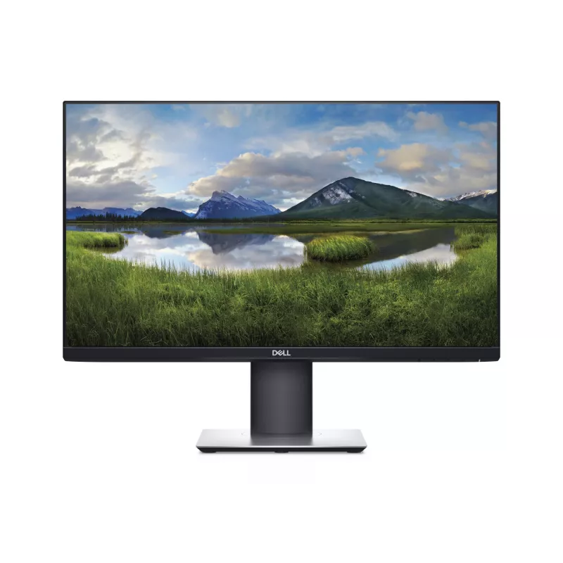 Monitor de ordenador DELL P2419H 61 cm (24