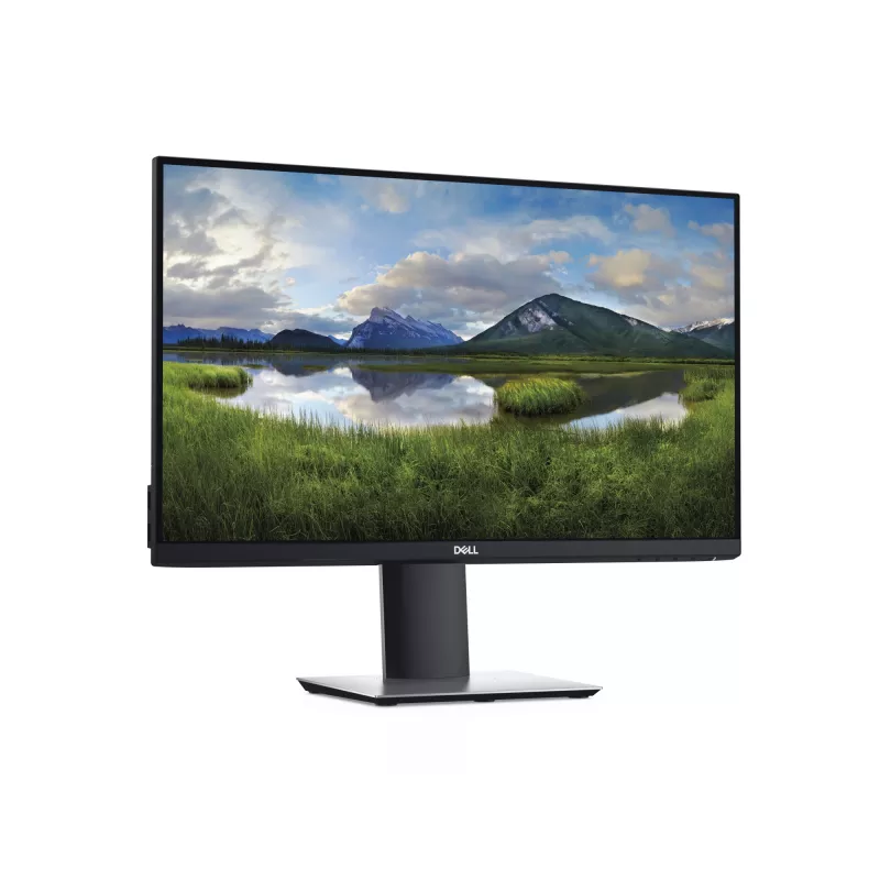 Monitor de ordenador DELL P2419H 61 cm (24