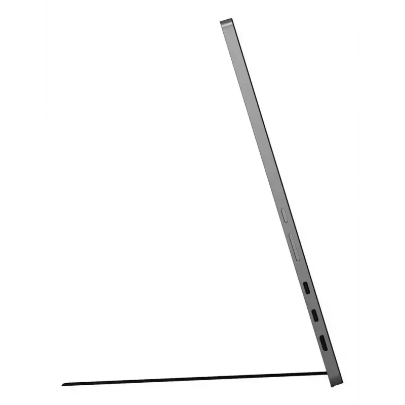 LG 17MT70 Monitor portátil Negro, Acero inoxidable 43,2 cm (17 pulgadas) LED 2560 x 1600 Píxeles