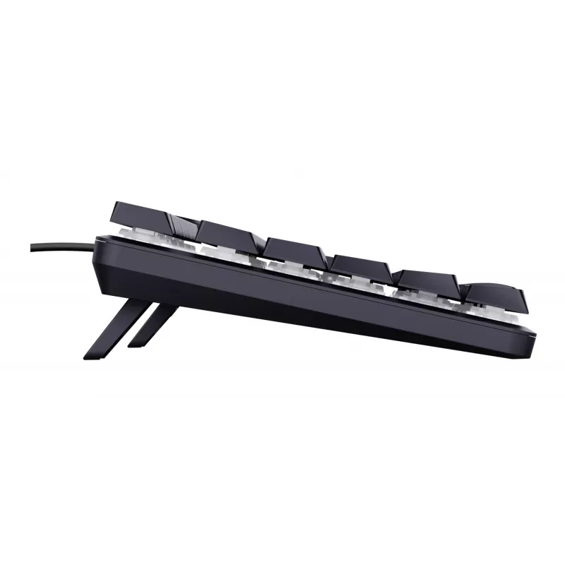 Trust GXT 866 Torix 24910 teclado mecánico para gaming, con cable USB, retroiluminado, QWERTY US International, negro