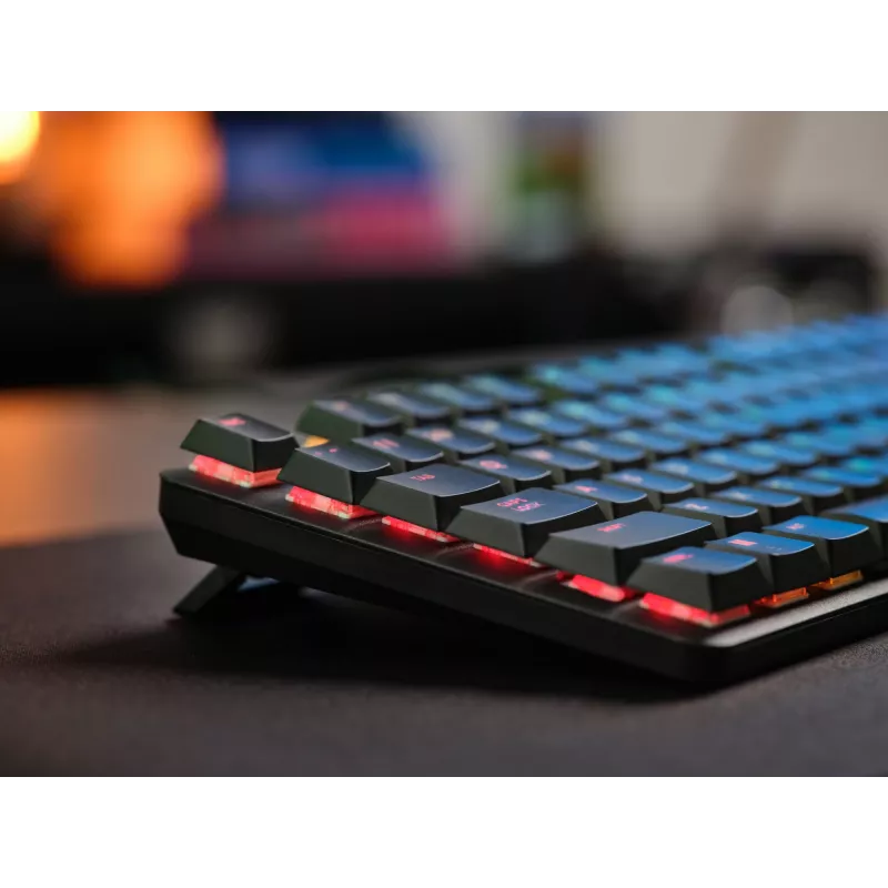 Trust GXT 866 Torix 24910 teclado mecánico para gaming, con cable USB, retroiluminado, QWERTY US International, negro