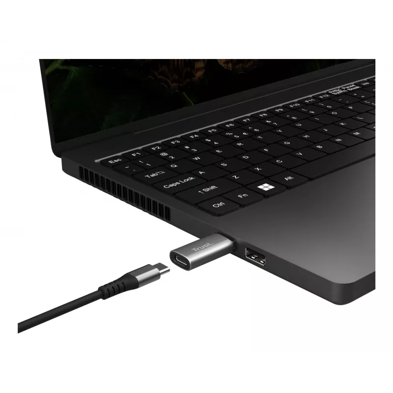 Trust Calyx USB Type-C USB Type-A gris conector 1 USB Type-C conector 2 USB Type-A