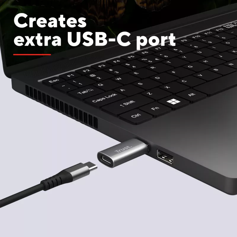 Trust Calyx USB Type-C USB Type-A gris conector 1 USB Type-C conector 2 USB Type-A