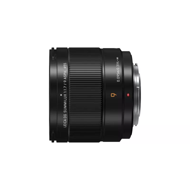 Objetivo ultra gran angular Panasonic H-X09 12 elementos 0,25x Negro