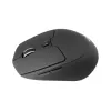 Ratón Conceptronic Lorcan Ergo Gaming Diestro Bluetooth 1600 DPI