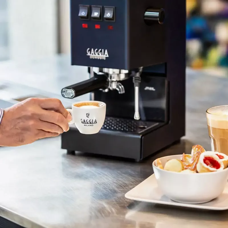 Cafetera espresso Gaggia Classic Evo E24 – bomba de 15 bar, acero inoxidable