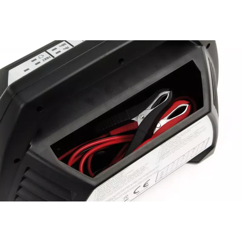 Cargador Ansmann ALCT6-24/10 6/12/24 V negro