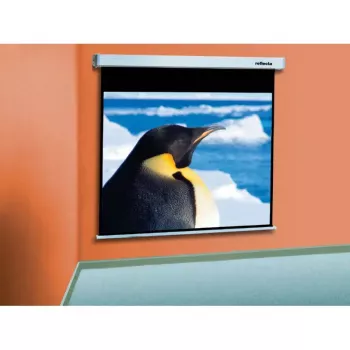 Pantalla de proyección Reflecta 87722 1:1
