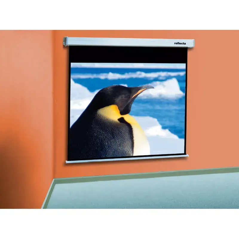 Pantalla de proyección Reflecta 87722 1:1