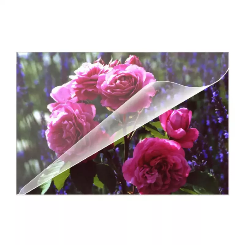 Fundas de laminar Olympia 9165