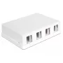 DeLOCK 86208 Caja Keystone de superficie, 4 puertos, blanco