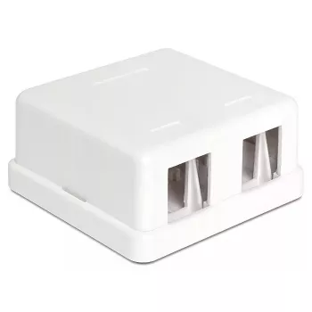 DeLOCK 86207 Caja Keystone de superficie vacía, 2 puertos, blanco