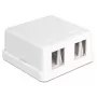DeLOCK 86207 Caja Keystone de superficie vacía, 2 puertos, blanco