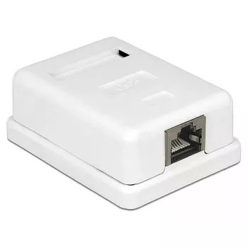 Toma de red RJ-45 DeLOCK 86169