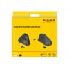 Ratón Office DeLOCK 12622 diestro RF inalámbrico óptico 1000 DPI
