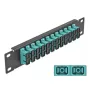 Panel de parcheo de fibra óptica DeLOCK 10