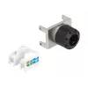 Módulo keystone RJ45 conector hembra a LSA DeLOCK 87036