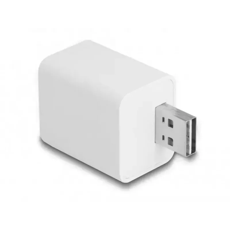Enchufe inteligente DeLOCK 11828 para interior Wi-Fi 2 A blanco