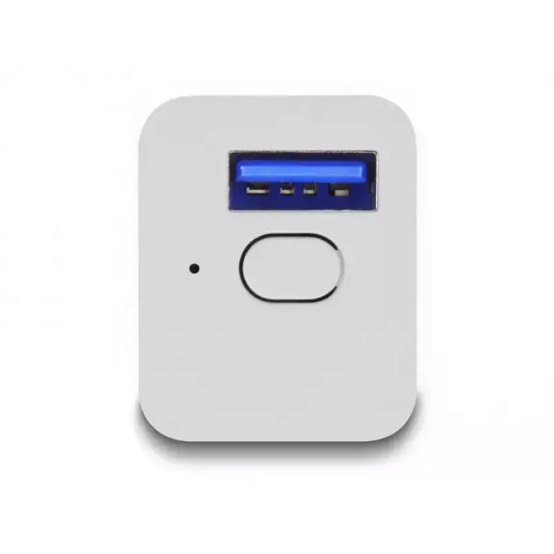 Enchufe inteligente DeLOCK 11828 para interior Wi-Fi 2 A blanco
