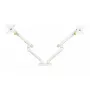Soporte de mesa BakkerElkhuizen BE Flexible Dual 88,9 cm blanco fijación por pinza 20 kg