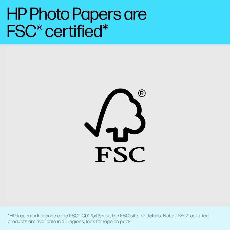 HP 49V51A Advanced papel fotográfico brillante, 4 x 12 pulgadas (102 x 305 mm), 250 g/m², 65 lb, 10,5 mil, 10 hojas