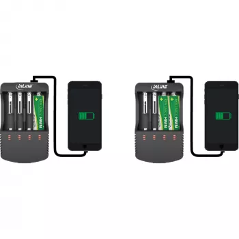 Cargador InLine para baterías de litio y NiCd+NiMH, 1 ud.