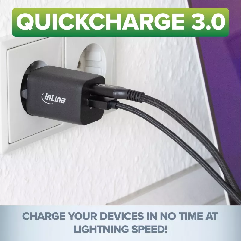 InLine Fuente de alimentación USB cargador USB-A + USB Type-C 33W PD + QC
