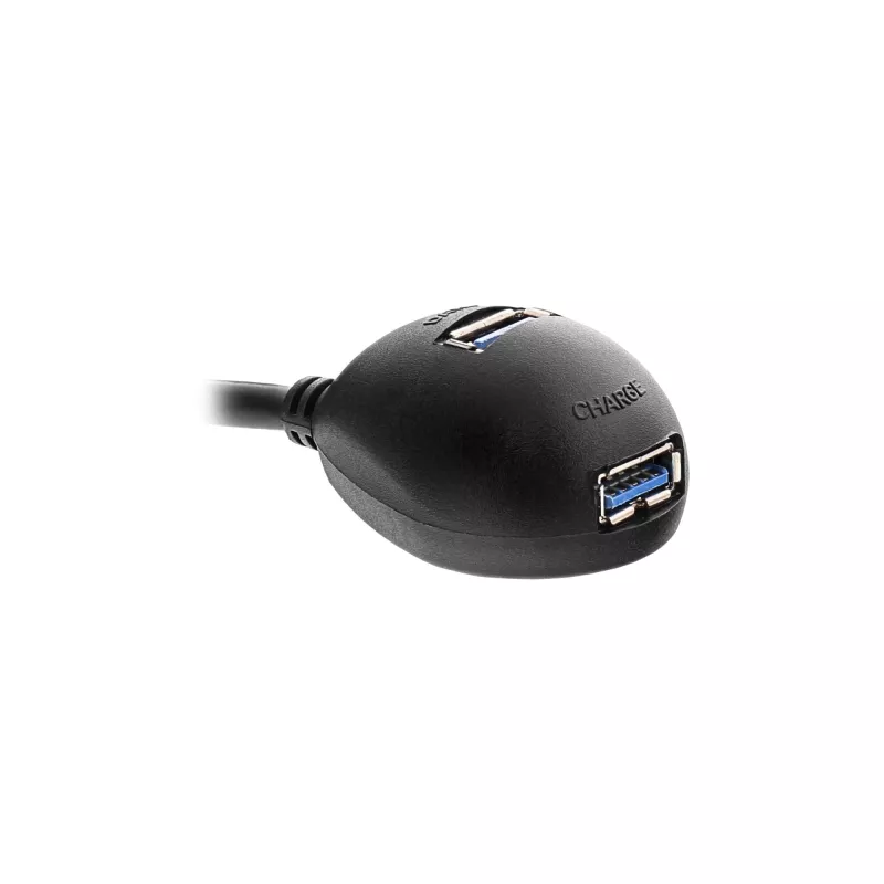 Cable InLine USB 3.2 Gen.1 USB Type-A macho / A hembra + alimentación, con soporte, negro, 1 m