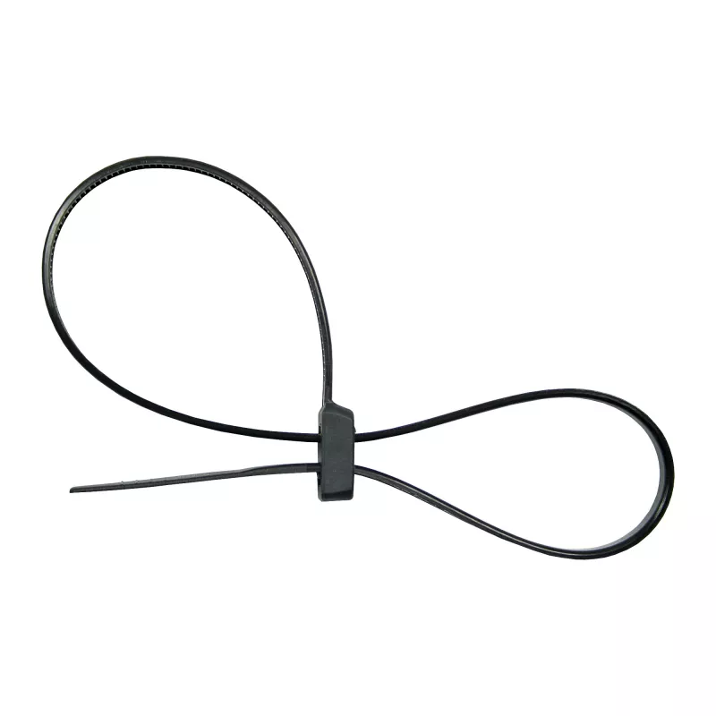 Bridas de doble cabeza montables InLine 300 mm x 4,8 mm, nailon, negro, 100 uds.