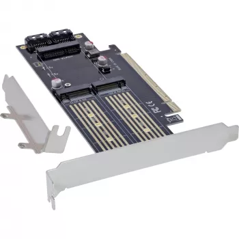 InLine 76660T tarjetas/adaptadores de interfaz internos M.2, mSATA