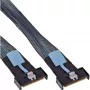 Cable Serial Attached SCSI (SAS) InLine 27661A 0,5 m 24 Gbit/s negro, azul, gris