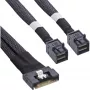 InLine cable SAS fino, SFF-8654 8i a 2x SFF-8643, 0,5m