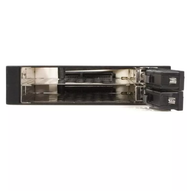 Backplane para rack móvil hot swap SATA sin bandejas StarTech.com de 2 unidades de 2,5 pulgadas