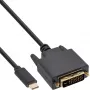 Cable de pantalla USB InLine, USB-C macho / DVI macho (DP Alt Mode), negro, 2 m