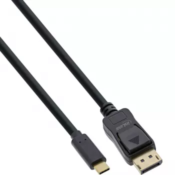 Cable de pantalla USB InLine, conector USB-C macho a conector DisplayPort macho, 2 m